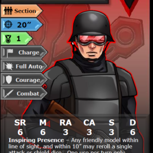 Alternative view of C.O.I.L.S Command Section