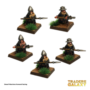 Dwarf Warriors Forward Facing